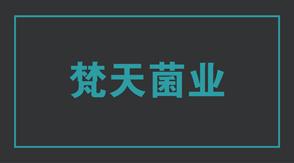 食品行业广安冲锋衣设计款式